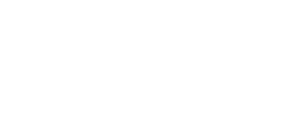 TS-Gepard logo